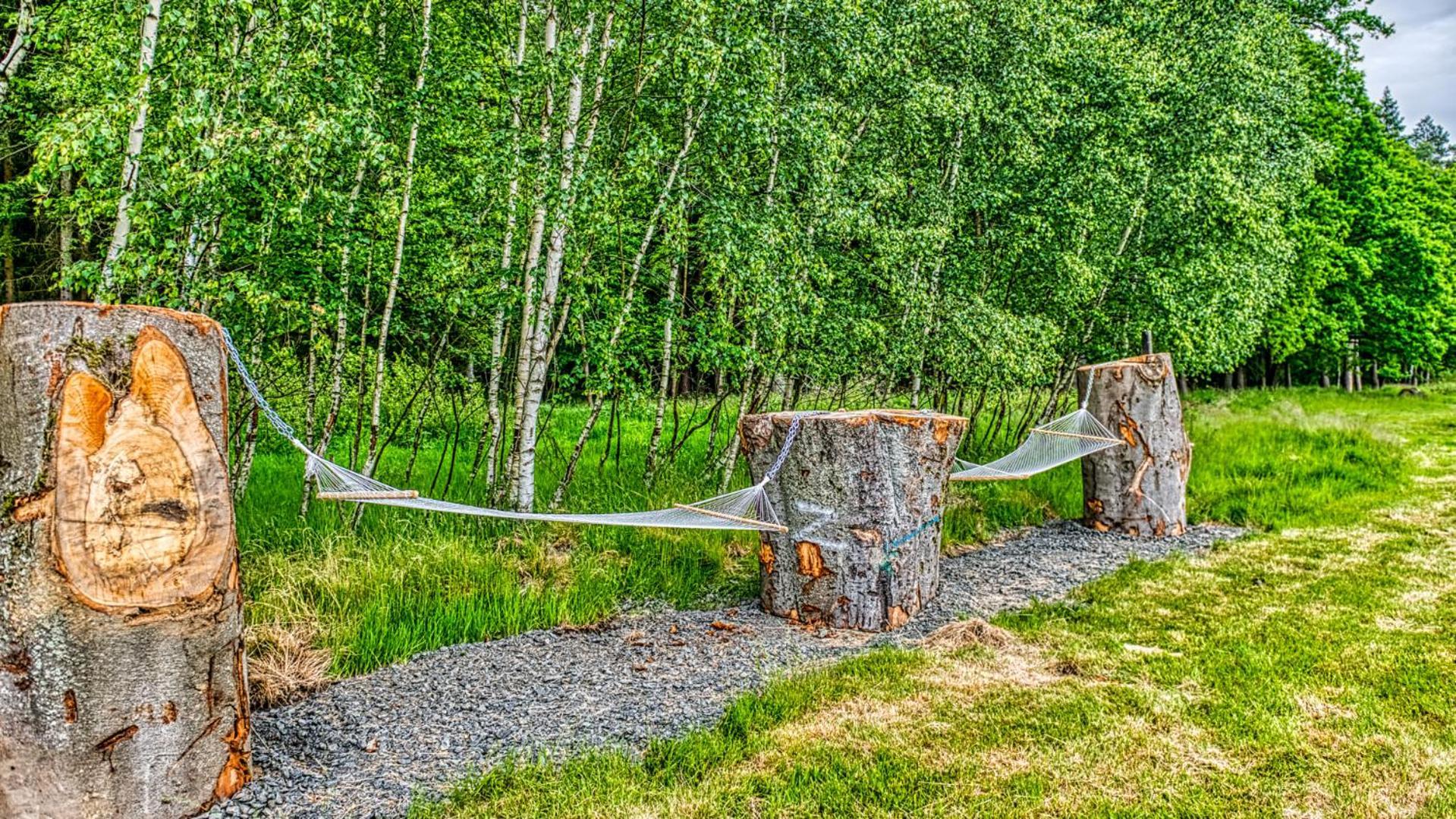 Izerska Baza - Basen, Ebike, Narty, Sauna, Jacuzzi, Las Blisko Swieradow Zdroj - 5D Apartamenty Giebultow  Exteriör bild