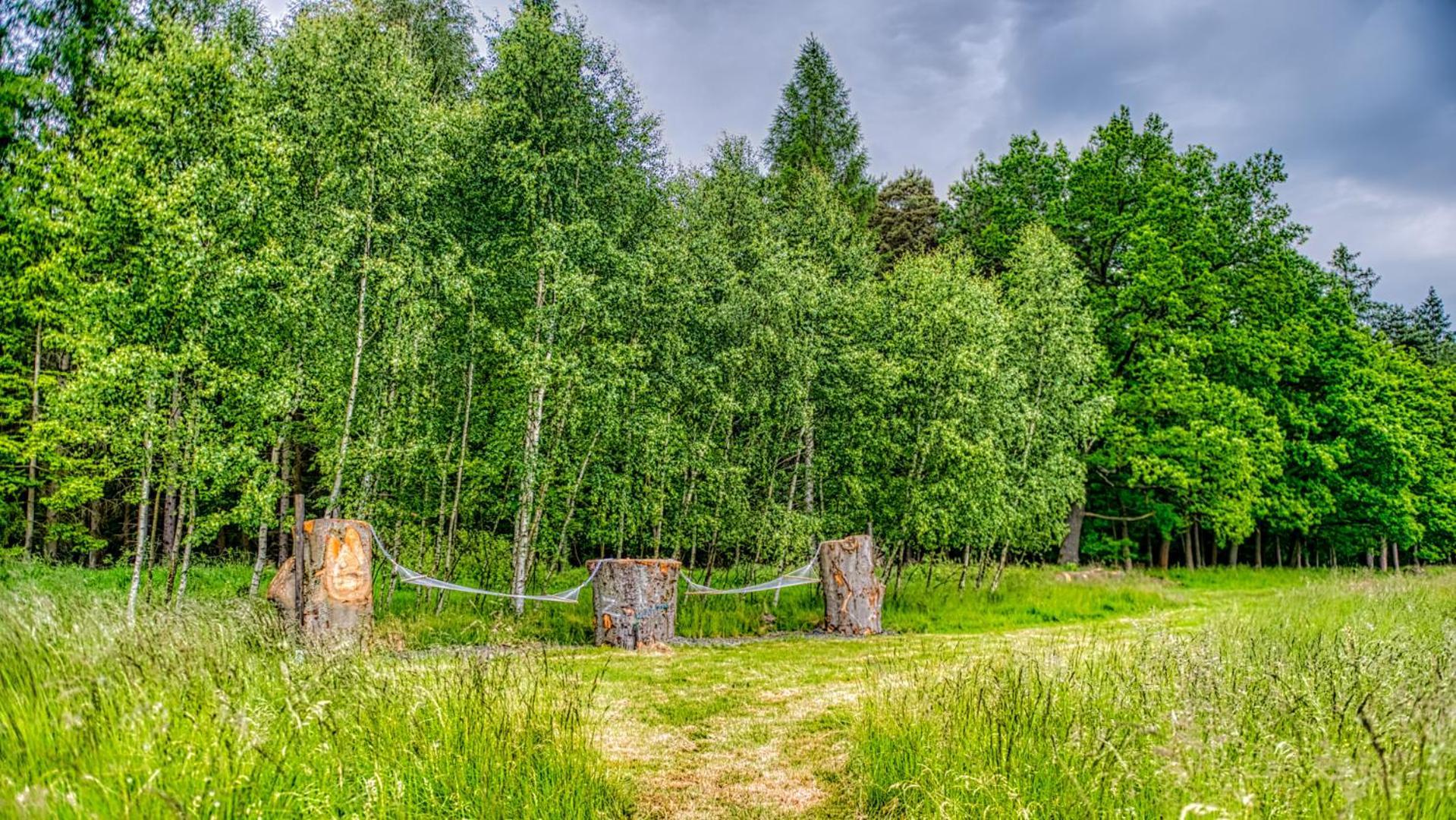 Izerska Baza - Basen, Ebike, Narty, Sauna, Jacuzzi, Las Blisko Swieradow Zdroj - 5D Apartamenty Giebultow  Exteriör bild